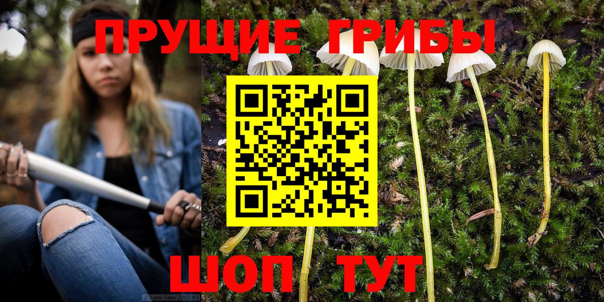 Галлюциногенные грибы ЛСД  Вход с VPN  Гурьевск 