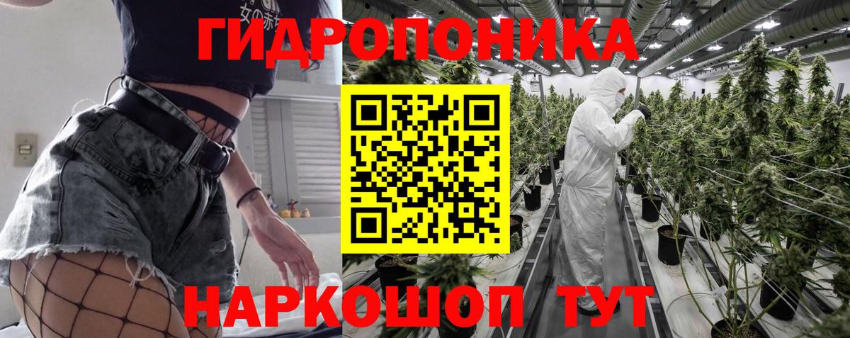 Бошки марихуана индика  Шишки марихуана VHQ  Вход с VPN  Марихуана Amnesia  Гурьевск  Канабис AK-47 